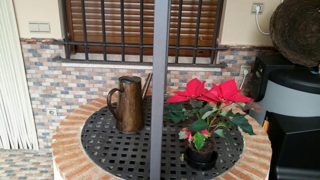 托内勒斯酒店 Puerto de Santa Cruz 外观 照片